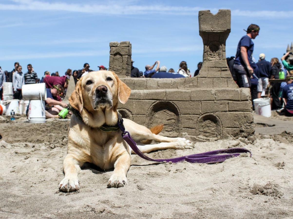 Beaches Inn | Herons Nest Loft Cannon Beach Exteriér fotografie